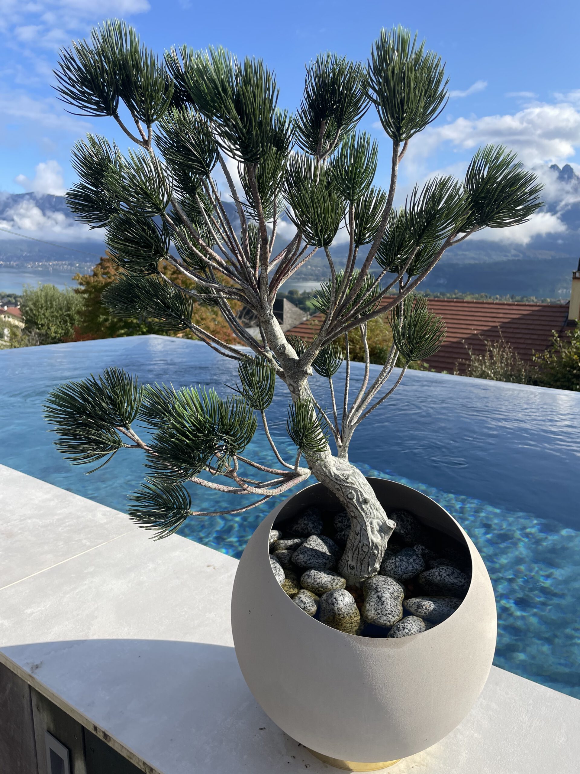 Piscine à débordement avec poterie et vue sur la montagne, OMH Savoie